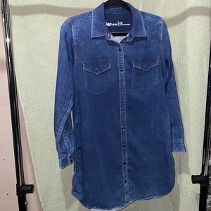 GAP 1969 Jean Sleeved Dress, Beautiful Light Weight Jean Material (Size Large)